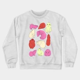 Guinea Pig, Cute Pink and Orange Pattern Crewneck Sweatshirt